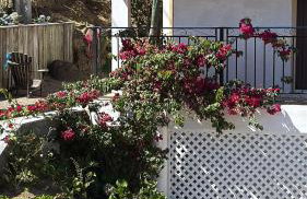 Casa In Collina - Foto 12