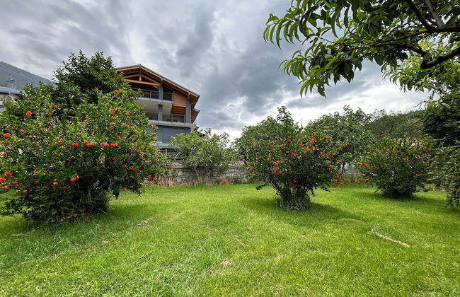 B&B Verger Plein Soleil - Foto 70