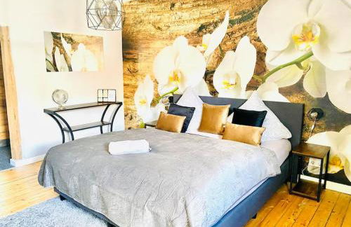 65qm Luxus Apartment mit Whirlpool Saarbrücken Uni Nähe - Foto 41