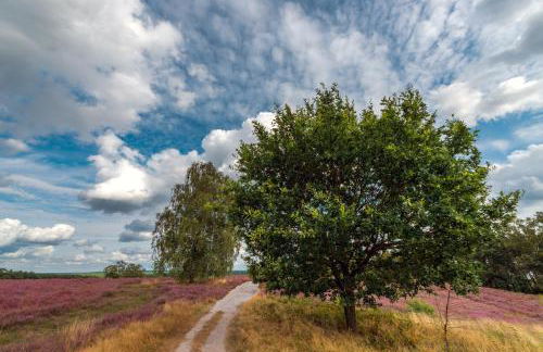 Wohnambiente am See - Foto 15