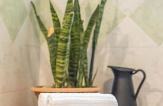 Cantunera Barbára - Foto 12