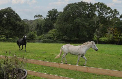 Brook Farm - Foto 46