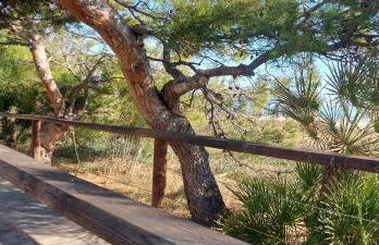 Acogedor apartamento con vistas 80 m2 - Foto 26