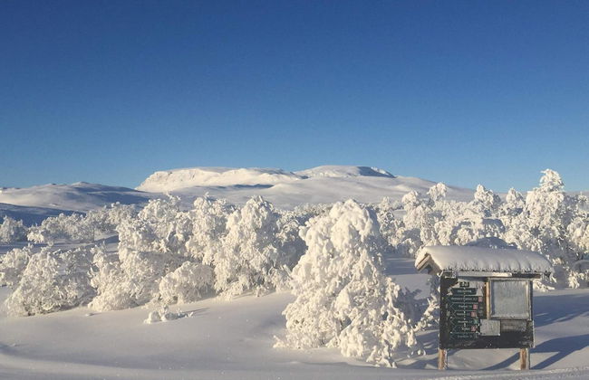 4 Person Holiday Home in Geilo-by Traum - Photo 12