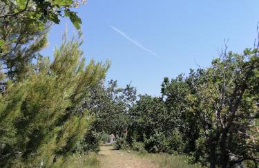 Holiday house Tunjarice - Foto 29