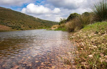 Casa Rural Valle de los Molinos - Foto 61