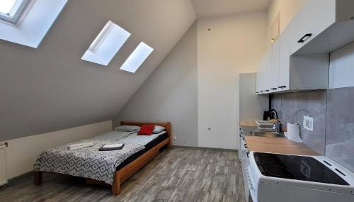 Apartamenty Parkowe nr 8 - Foto 5