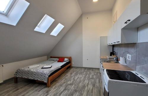 Apartamenty Parkowe nr 8 - Foto 5