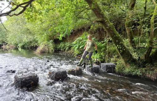 Charming Barn Conversion - Idyllic Rural Retreat- Pet Friendly - Foto 49