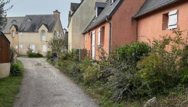 Les Sternes - Foto 2