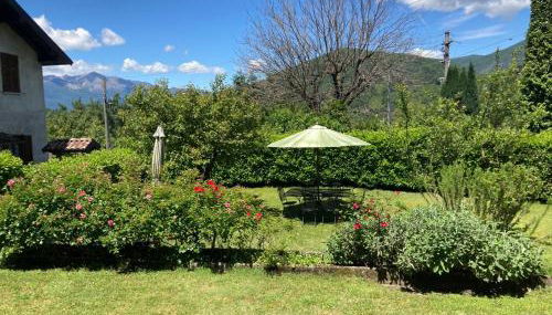 La Ca del Bicc - Foto 2, Garden, Garden view