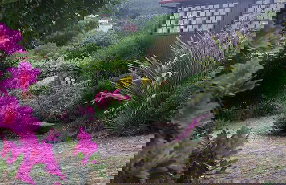 Serrado de Bouças - Foto 76