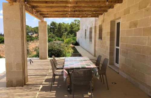 FICOMORO FARM - Foto 18