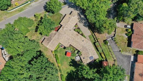 Salamandre et Hippocampe - Foto 4