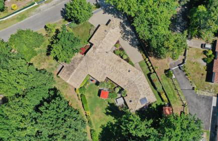 Salamandre et Hippocampe - Foto 4