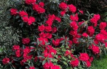 Polgwedhen Lodge - Photo 41