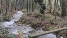 CASA CON FINCA PRIVADA - Foto 5