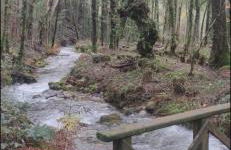 CASA CON FINCA PRIVADA - Foto 5