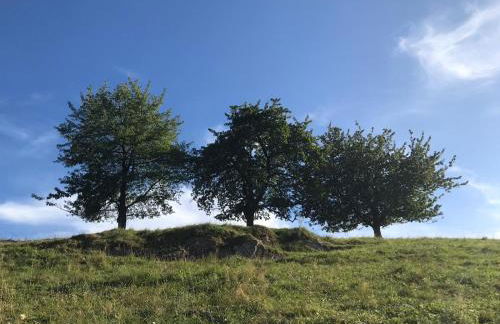 Hirtenrasen 52A - Photo 37