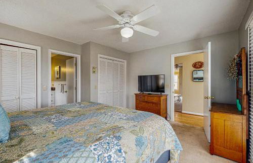 Wild Bird View - Foto 14