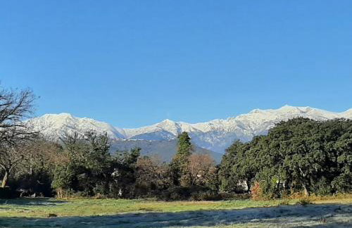 Bel appartement Corse côte Est - Foto 1