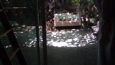 Sous les pins - Foto 3