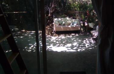 Sous les pins - Photo 3