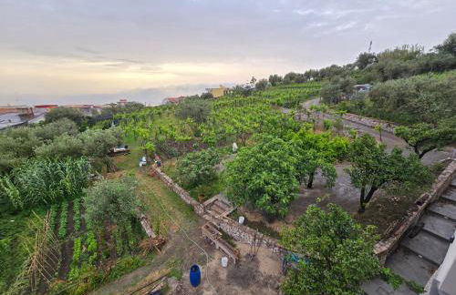 N'haidea - AgriFarm e B&B - Foto 72