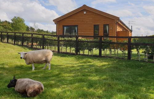 3 Bed in Moorlinch 56284 - Foto 22