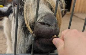 Tourenblick - Ferienwohnung an den drei Kaiserbergen - Foto 28