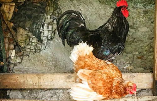 Podere Casanova - Foto 32