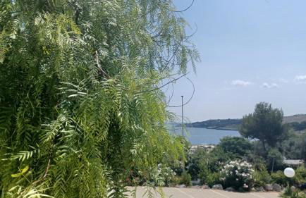 Residence Ginevra-Porto Miggiano - Foto 26