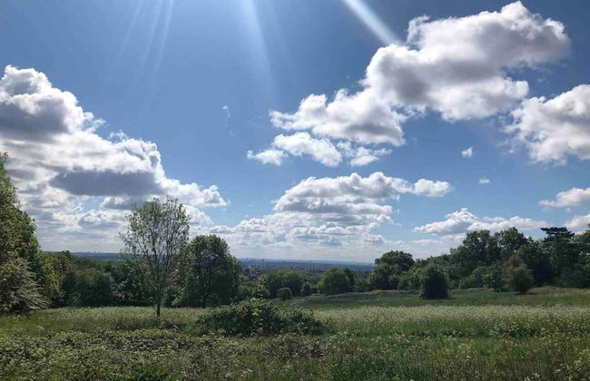 Immaculate 1-bed Apartment in London - Foto 24