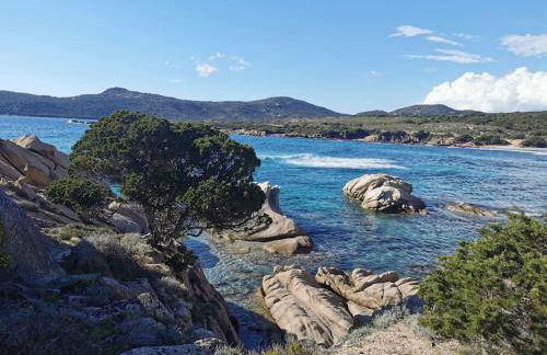 Tizzano, villa vue mer avec piscine - Foto 24