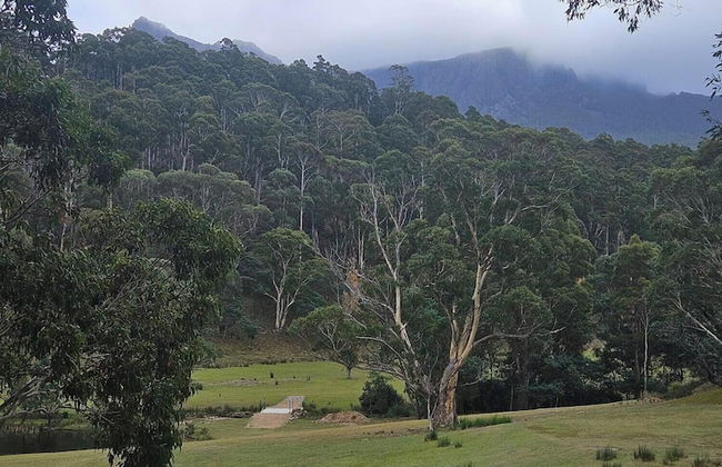 Craggy Peaks Wilderness Cabins - Foto 43