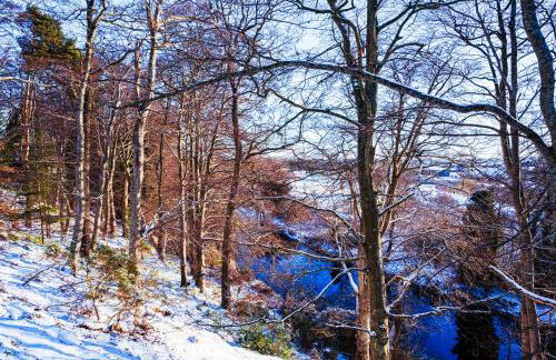 East Wing Apartment in Elgin - Foto 79