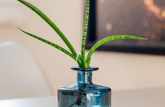 Charming top-floor apartment - Photo 9