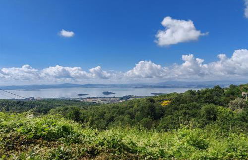 Umbria Tuoro - Foto 6