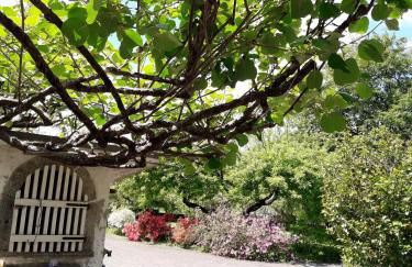 Talonno il frutteto - Foto 30