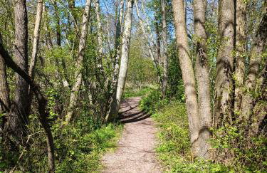 Zalotna Mewa Gąski - Photo 22