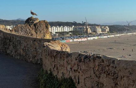 Stunning SanFran Casa close to Center and steps from Ocean - Foto 52