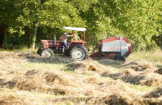 Lunigiana Experience - Foto 21