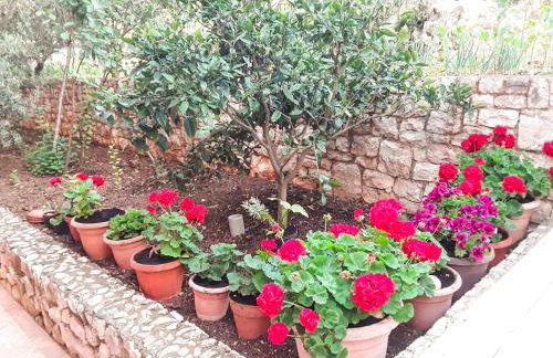 Apartments Doris - Foto 57