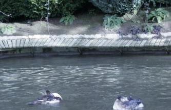 Quinta do Mosteiro - Foto 54