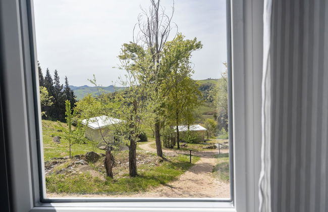 La Valle Dei Caprioli - B&B - Foto 8