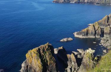 Cosy Cottage overlooking the Teifi Gorge - Foto 24