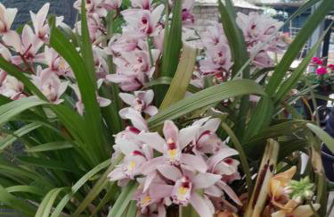 KUĆA ZA ODMOR PETRA - Foto 39