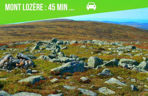 Le CosyGreen - Central/Netflix/Wifi Fibre - Séjour Lozère - Foto 22