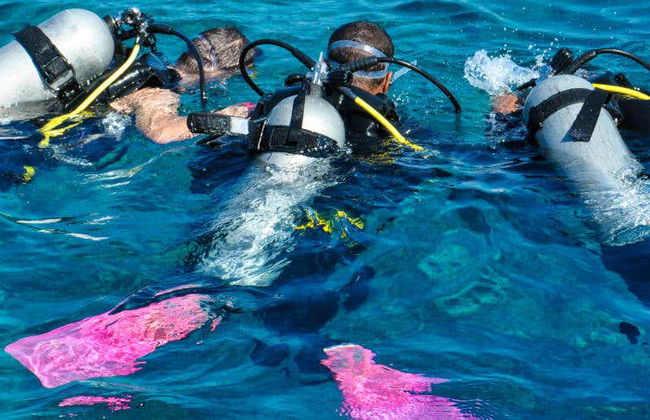 PADI Open Water Diving Course - Foto 1