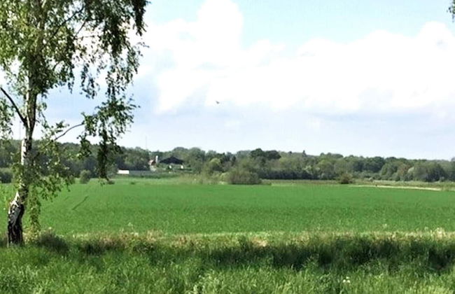 6 Person Holiday Home in Degeberga-by Traum - Foto 10